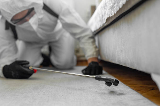 Professional Cockroach Control technician working in Fuller Heights, FL