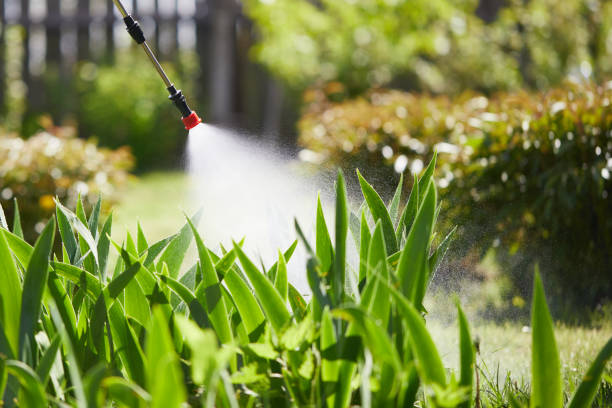 24/7 Emergency Cockroach Control experts in Fuller Heights, FL