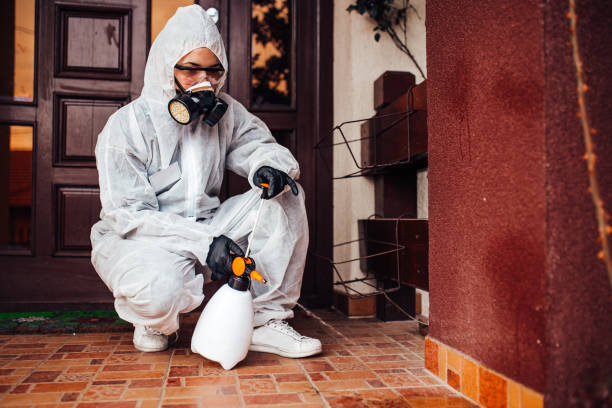Reliable Cockroach Control contractor in Fuller Heights, FL by Nex Pest Control